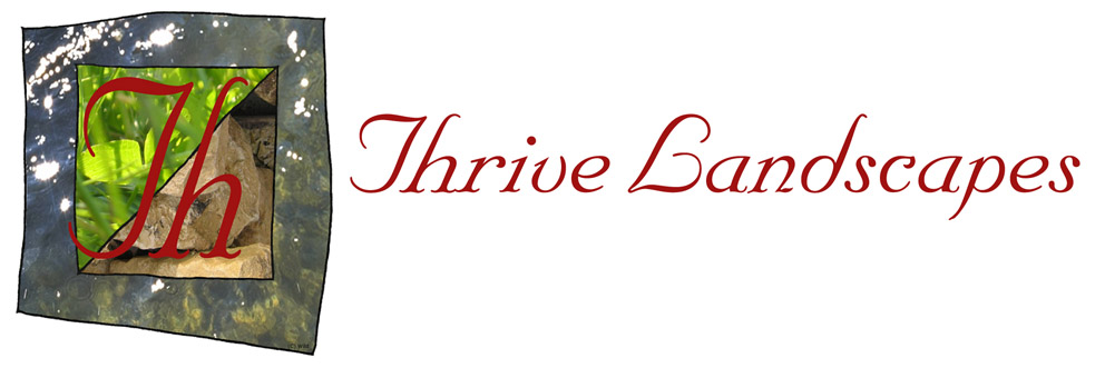 The home of Thrive Landscapes